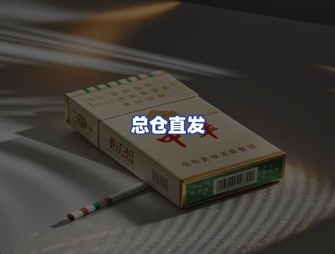 专业团队